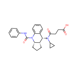 O=C(O)CCC(=O)N(C1CC1)[C@H]1c2ccccc2N(C(=O)Nc2ccccc2)[C@H]2CCC[C@H]21 ZINC000204955683