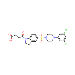 O=C(O)CCC(=O)N1CCc2cc(S(=O)(=O)N3CCN(c4cc(Cl)cc(Cl)c4)CC3)ccc21 ZINC000118527907