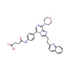 O=C(O)CCC(=O)Nc1ccc(-c2cnc(N3CCOCC3)c3nc(CCc4ccc5ccccc5n4)cn23)cc1 ZINC001772630151