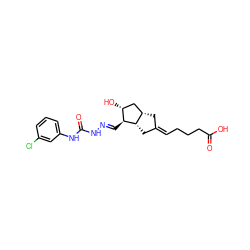 O=C(O)CCC/C=C1\C[C@H]2C[C@@H](O)[C@H](/C=N/NC(=O)Nc3cccc(Cl)c3)[C@H]2C1 ZINC000026165447