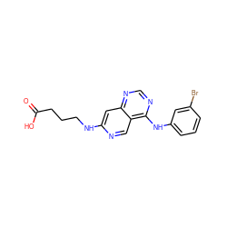 O=C(O)CCCNc1cc2ncnc(Nc3cccc(Br)c3)c2cn1 ZINC000003815051