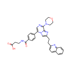 O=C(O)CCNC(=O)c1ccc(-c2cnc(N3CCOCC3)c3nc(CCc4ccc5ccccc5n4)cn23)cc1 ZINC000222038797