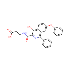 O=C(O)CCNC(=O)c1nc(-c2ccccc2)c2cc(Oc3ccccc3)ccc2c1O ZINC000146759930