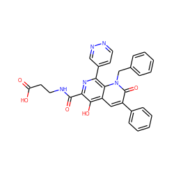 O=C(O)CCNC(=O)c1nc(-c2ccnnc2)c2c(cc(-c3ccccc3)c(=O)n2Cc2ccccc2)c1O ZINC000169688259