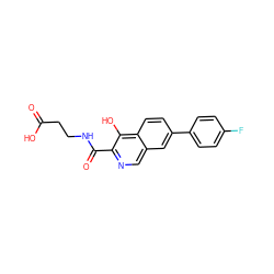 O=C(O)CCNC(=O)c1ncc2cc(-c3ccc(F)cc3)ccc2c1O ZINC000146754501