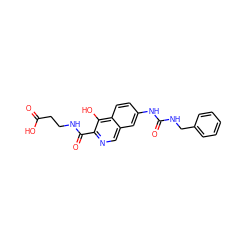 O=C(O)CCNC(=O)c1ncc2cc(NC(=O)NCc3ccccc3)ccc2c1O ZINC000146713529