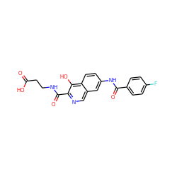 O=C(O)CCNC(=O)c1ncc2cc(NC(=O)c3ccc(F)cc3)ccc2c1O ZINC000146784639