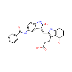 O=C(O)CCc1c(/C=C2\C(=O)Nc3ccc(NC(=O)c4ccccc4)cc32)[nH]c2c1C(=O)CCC2 ZINC000058569232