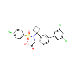 O=C(O)CN(C1(c2cccc(-c3cc(Cl)cc(Cl)c3)c2)CCC1)S(=O)(=O)c1ccc(Cl)cc1 ZINC000072316385