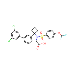 O=C(O)CN(C1(c2cccc(-c3cc(Cl)cc(Cl)c3)c2)CCC1)S(=O)(=O)c1ccc(OC(F)F)cc1 ZINC000118576118