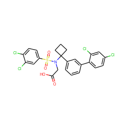 O=C(O)CN(C1(c2cccc(-c3ccc(Cl)cc3Cl)c2)CCC1)S(=O)(=O)c1ccc(Cl)c(Cl)c1 ZINC000118585390