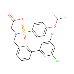 O=C(O)CN(Cc1cccc(-c2cc(Cl)cc(Cl)c2)c1)S(=O)(=O)c1ccc(OC(F)F)cc1 ZINC000653801319