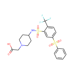 O=C(O)CN1CCC(NS(=O)(=O)c2cc(S(=O)(=O)c3ccccc3)ccc2C(F)(F)F)CC1 ZINC000045336748