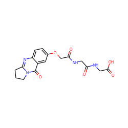 O=C(O)CNC(=O)CNC(=O)COc1ccc2nc3n(c(=O)c2c1)CCC3 ZINC000012900988