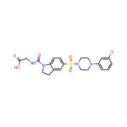 O=C(O)CNC(=O)N1CCc2cc(S(=O)(=O)N3CCN(c4cccc(Cl)c4)CC3)ccc21 ZINC000118524503