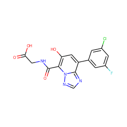 O=C(O)CNC(=O)c1c(O)cc(-c2cc(F)cc(Cl)c2)c2ncnn12 ZINC000103265060