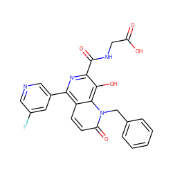 O=C(O)CNC(=O)c1nc(-c2cncc(F)c2)c2ccc(=O)n(Cc3ccccc3)c2c1O ZINC000169710967