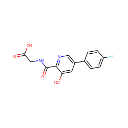 O=C(O)CNC(=O)c1ncc(-c2ccc(F)cc2)cc1O ZINC000117536455