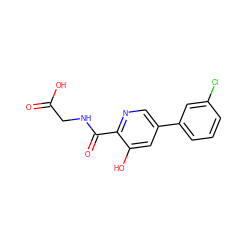 O=C(O)CNC(=O)c1ncc(-c2cccc(Cl)c2)cc1O ZINC000117532869