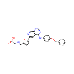 O=C(O)CNCc1ccc(-c2cc3c(Nc4ccc(OCc5ccccc5)cc4)ncnc3cn2)o1 ZINC000040918166