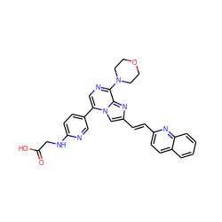 O=C(O)CNc1ccc(-c2cnc(N3CCOCC3)c3nc(/C=C/c4ccc5ccccc5n4)cn23)cn1 ZINC000222051697