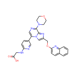 O=C(O)CNc1ccc(-c2cnc(N3CCOCC3)c3nc(COc4ccc5ccccc5n4)cn23)cn1 ZINC000222031320