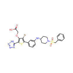 O=C(O)COc1c(-c2nnn[nH]2)sc(-c2cccc(NC3CCN(S(=O)(=O)Cc4ccccc4)CC3)c2)c1Br ZINC000024926382