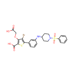 O=C(O)COc1c(C(=O)O)sc(-c2cccc(NC3CCN(S(=O)(=O)c4ccccc4)CC3)c2)c1Br ZINC000028711543