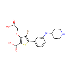 O=C(O)COc1c(C(=O)O)sc(-c2cccc(NC3CCNCC3)c2)c1Br ZINC000028711538