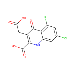 O=C(O)Cc1c(C(=O)O)[nH]c2cc(Cl)cc(Cl)c2c1=O ZINC000027988044