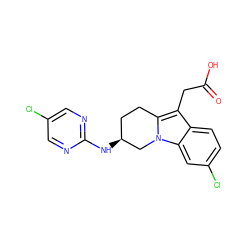 O=C(O)Cc1c2n(c3cc(Cl)ccc13)C[C@@H](Nc1ncc(Cl)cn1)CC2 ZINC000203538934