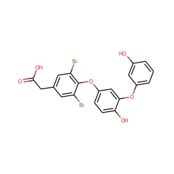 O=C(O)Cc1cc(Br)c(Oc2ccc(O)c(Oc3cccc(O)c3)c2)c(Br)c1 ZINC000014969303