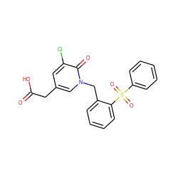 O=C(O)Cc1cc(Cl)c(=O)n(Cc2ccccc2S(=O)(=O)c2ccccc2)c1 ZINC000653723574