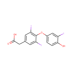 O=C(O)Cc1cc(I)c(Oc2ccc(O)c(I)c2)c(I)c1 ZINC000004217580