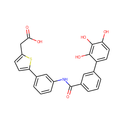 O=C(O)Cc1ccc(-c2cccc(NC(=O)c3cccc(-c4ccc(O)c(O)c4O)c3)c2)s1 ZINC000036242758