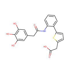 O=C(O)Cc1ccc(-c2ccccc2NC(=O)Cc2cc(O)c(O)c(O)c2)s1 ZINC000035269399