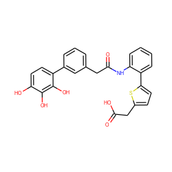 O=C(O)Cc1ccc(-c2ccccc2NC(=O)Cc2cccc(-c3ccc(O)c(O)c3O)c2)s1 ZINC000036242761