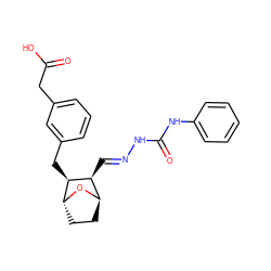 O=C(O)Cc1cccc(C[C@H]2[C@@H](/C=N/NC(=O)Nc3ccccc3)[C@H]3CC[C@H]2O3)c1 ZINC000195224384