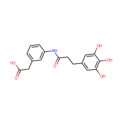 O=C(O)Cc1cccc(NC(=O)CCc2cc(O)c(O)c(O)c2)c1 ZINC000035274849