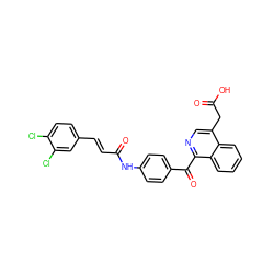 O=C(O)Cc1cnc(C(=O)c2ccc(NC(=O)/C=C/c3ccc(Cl)c(Cl)c3)cc2)c2ccccc12 ZINC000084603264