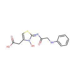 O=C(O)Cc1cs/c(=N/C(=O)CNc2ccccc2)n1O ZINC000040836253