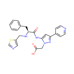 O=C(O)Cn1nc(-c2ccncc2)cc1NC(=O)[C@H](Cc1ccccc1)NCc1cncs1 ZINC000096284445