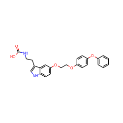 O=C(O)NCCc1c[nH]c2ccc(OCCOc3ccc(Oc4ccccc4)cc3)cc12 ZINC000095595129