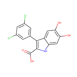 O=C(O)c1[nH]c2cc(O)c(O)cc2c1-c1cc(Cl)cc(Cl)c1 ZINC000084733173