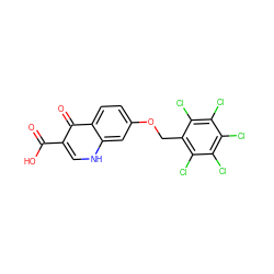 O=C(O)c1c[nH]c2cc(OCc3c(Cl)c(Cl)c(Cl)c(Cl)c3Cl)ccc2c1=O ZINC000027714833