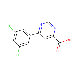 O=C(O)c1cc(-c2cc(Cl)cc(Cl)c2)ncn1 ZINC000068198190