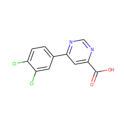 O=C(O)c1cc(-c2ccc(Cl)c(Cl)c2)ncn1 ZINC000068198189