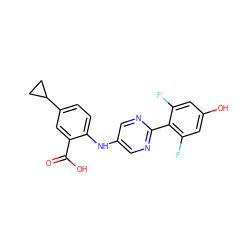 O=C(O)c1cc(C2CC2)ccc1Nc1cnc(-c2c(F)cc(O)cc2F)nc1 ZINC000113898729