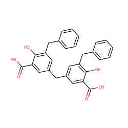 O=C(O)c1cc(Cc2cc(Cc3ccccc3)c(O)c(C(=O)O)c2)cc(Cc2ccccc2)c1O ZINC000138521150