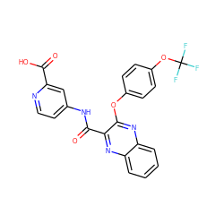 O=C(O)c1cc(NC(=O)c2nc3ccccc3nc2Oc2ccc(OC(F)(F)F)cc2)ccn1 ZINC000143204502